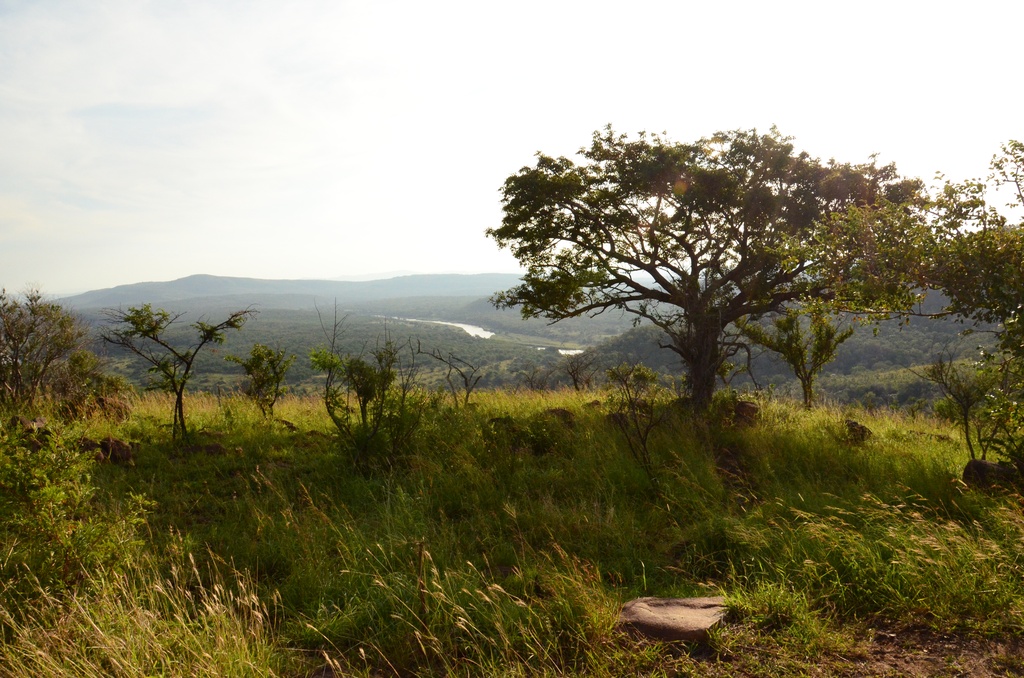 2015-05 South Africa/iMfolozi/DSC_0103.JPG